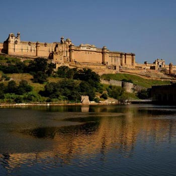 Camel Rajasthan Tour