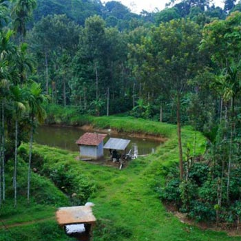 Mysore/ Ooty/ Coorg Package for 3 Night 4 Days