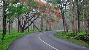 Mysore Coorg Chikmagalur Tour by Innova 7+1