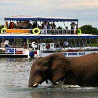 Victoria Falls & South Luangwa Safari Tour