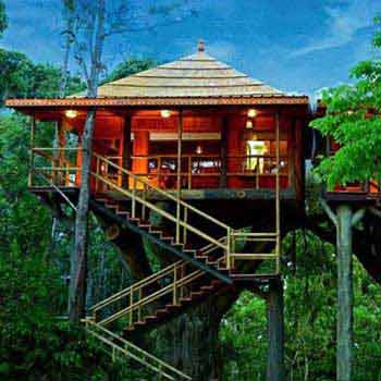 Periyar Tour with Treehouse Package