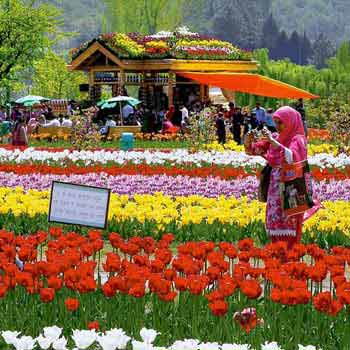 Kashmir Family Holiday Package