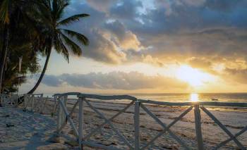 21 Days Kenyan - Tanzania And Beach Safari Tour