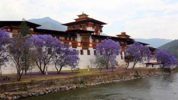 Freedom Bhutan Tour