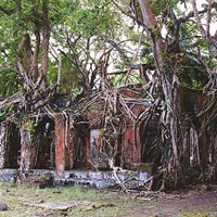 Ross Island Tour in Andaman