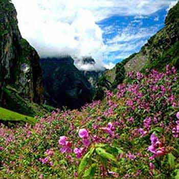 Valley of Flowers Fixed Departure Tour