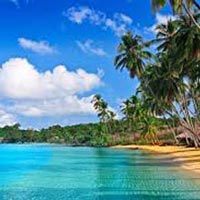 Andaman Exotica For 7 Nights And 8 Days Tour