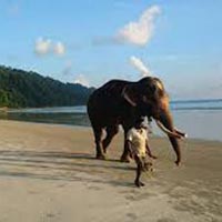 Splendid Andaman Island Tour