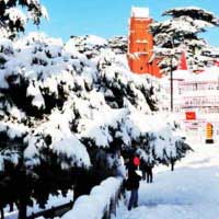 Charming Shimla Manali Tour