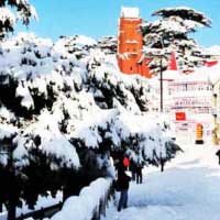 Charming Shimla and Manali Tour