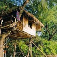 Periyar Tour with Treehouse