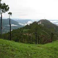 Barog Tour from Delhi Package