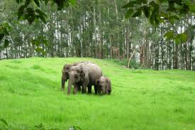 Madurai - Munnar - Thekkady - Periyar - Allepey Tour