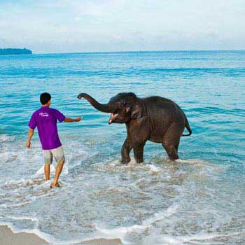 Port Blair-havelock Tour Package