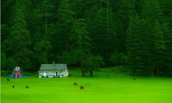 Himachal Tour Package .