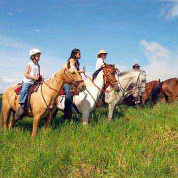Volcanoes And Wildlife Adventure Tour