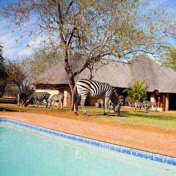 Botswana, Victoria Falls and Kruger National Park Tour