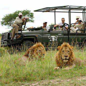 Kruger Safari - Cape Town - Luxury Rovos Rail Train Tour