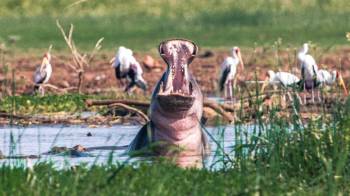 Budget Camping Safari-Manyara, Tarangire & Crater