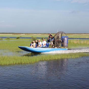 Everglades Boat Tour