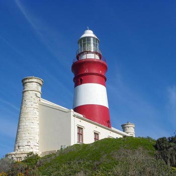 Arniston & Cape Agulhas Tour