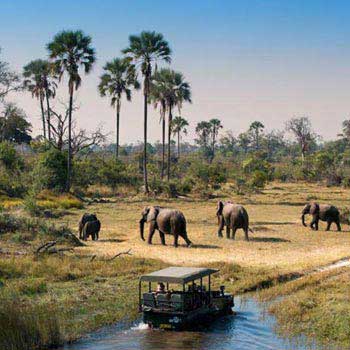 Botswana Tour