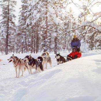 Kamchatka Winter Adventure Package