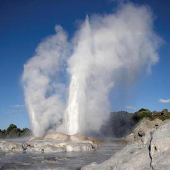 Best Of New Zealand Package