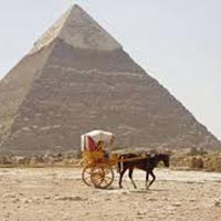 Pyramids of Giza and the Egyptian Museum Day Tour