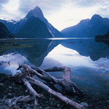 Picture Perfect -7 Day South Island Tour Package