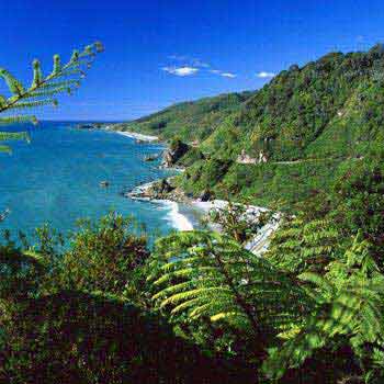 9 Day - Kea South Island Tour Package