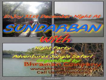 New Year Celebration Party At Sundarban
