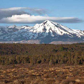 Volcanoes & Rainforest Tour