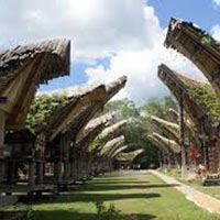 Toraja Culture and Nature Tour