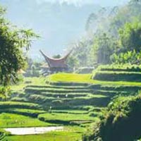 Toraja Culture and Nature Tour