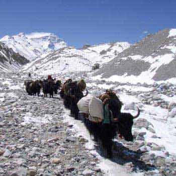Advance Everest Base Camp Trek from Tibet Tour