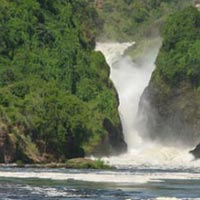 Murchison Fall National Park Tour and Kibale Game Park Package