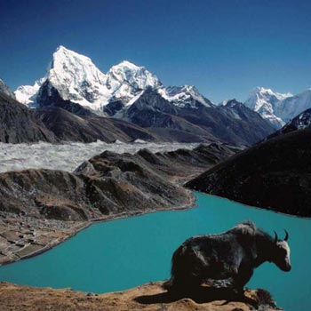 Gokyo Lakes Trek in the Everest Himalayas Nepal Package
