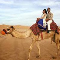 Abu Dhabi Overnight Desert Safari with Animal Farm Visit Package