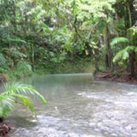 3 Day Cape Tribulation & Cooktown Wanderer