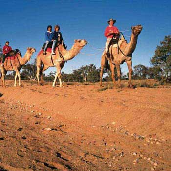 Darwin to Alice Springs Adventure with Adventures Beyond Package