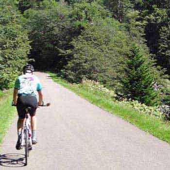 Noto Coastline and Japan Alps Cycle Tour