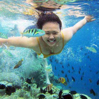 Diving Bunaken and Lembeh Package