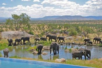 6 days kenya,Tanzania Memorable Safari Tour Package