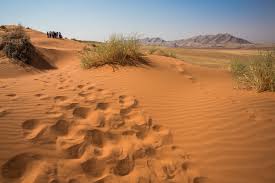 18 Day Ultimate Namibia Private Tour Package