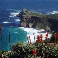 Best of Cape Town Tour Package