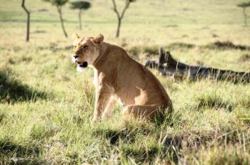 12 Days Kenya Golfing And Wildlife Safari Package