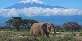 16 Day Kenya, Tanzania and Rwanda Experience Package