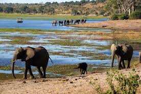 12 Day South Africa and Zambia Dream African Safaris Adventure Package