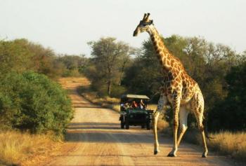 Spectacular South Africa 15 Days Guided Tour Package